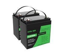 DATOUBOSS 2*Batteria al Litio 12V 50Ah LiFePO4, integrata 50A BMS 15000+cicli Batteria al litio a ciclo profondo MAX 640W Supporto di potenza in serie/parallelo, perfetto per solare, RV.