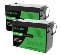 DATOUBOSS 2 * Batteria al Litio 24V 100Ah LiFePO4, BMS 100A Incorporato, Fino a 15.000 Cicli Profondi, Uscita Massima 2560Wh, Supporto Collegamento in Serie/Parallelo, per Camper, Sistema Solare