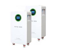 DATOUBOSS 2*Batteria LiFePO4 48V 300Ah,integrata 200A BMS,8000+ cicli,MAX 15,36KWh, supporta il collegamento in parallelo, elevata capacità della batteria e ampia gamma di applicazioni.