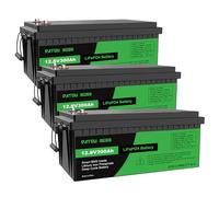 DATOUBOSS 3 * Batteria al Litio 12V 300Ah LiFePO4, BMS 200A Incorporato, Fino a 15.000 Cicli Profondi, Uscita Massima 3840Wh, Supporto Collegamento in Serie/Parallelo, per Camper, Sistema Solare
