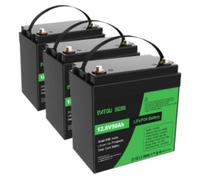 DATOUBOSS 3*Batteria al Litio 12V 50Ah LiFePO4, integrata 50A BMS 15000+cicli Batteria al litio a ciclo profondo MAX 640W Supporto di potenza in serie/parallelo, perfetto per solare, RV.