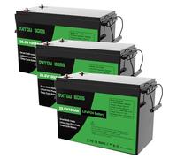 DATOUBOSS 3 * Batteria al Litio 24V 100Ah LiFePO4, BMS 100A Incorporato, Fino a 15.000 Cicli Profondi, Uscita Massima 2560Wh, Supporto Collegamento in Serie/Parallelo, per Camper, Sistema Solare