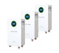 DATOUBOSS 3*Batteria LiFePO4 48V 300Ah,integrata 200A BMS,8000+ cicli,MAX 15,36KWh, supporta il collegamento in parallelo, elevata capacità della batteria e ampia gamma di applicazioni.