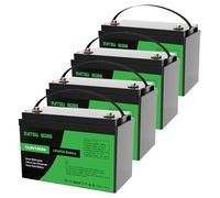 DATOUBOSS 4 * Batteria al Litio 12V 100Ah LiFePO4, BMS 100A Incorporato, Fino a 15.000 Cicli Profondi, Uscita Massima 1280Wh, Supporto Collegamento in Serie/Parallelo, per Camper, Sistema Solare