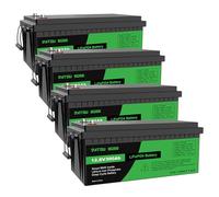 DATOUBOSS 4 * Batteria al Litio 12V 300Ah LiFePO4, BMS 200A Incorporato, Fino a 15.000 Cicli Profondi, Uscita Massima 3840Wh, Supporto Collegamento in Serie/Parallelo, per Camper, Sistema Solare