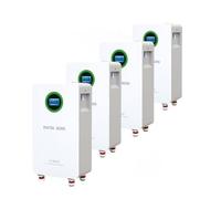 DATOUBOSS 4*Batteria LiFePO4 48V 300Ah,integrata 200A BMS,8000+ cicli,MAX 15,36KWh, supporta il collegamento in parallelo, elevata capacità della batteria e ampia gamma di applicazioni.