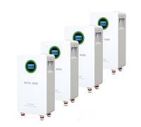 DATOUBOSS 4*Batteria LiFePO4 48V 314Ah,integrata 200A BMS,8000+ cicli,MAX 16,07KWh, supporta il collegamento in parallelo, elevata capacità della batteria e ampia gamma di applicazioni.