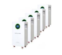 DATOUBOSS 5*Batteria LiFePO4 48V 300Ah,integrata 200A BMS,8000+ cicli,MAX 15,36KWh, supporta il collegamento in parallelo, elevata capacità della batteria e ampia gamma di applicazioni.