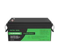 DATOUBOSS Batteria al Litio 12V 300Ah LiFePO4, integrata 200A BMS 15000+cicli Batteria al litio a ciclo profondo MAX 3840W Supporto di potenza in serie/parallelo, perfetto per solare, RV.