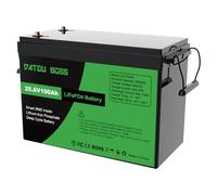 DATOUBOSS Batteria al Litio 24V 100Ah LiFePO4, BMS 100A Incorporato, Fino a 15.000 Cicli Profondi, Uscita Massima 2560Wh, Supporto Collegamento in Serie/Parallelo, per Camper, Sistema Solare