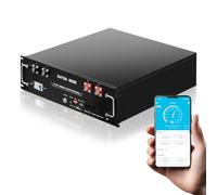 DATOUBOSS Batteria al litio LiFePO4 da 48 V, 100 Ah, 5,12 kWh con Bluetooth, built-in 100 A, BMS, CAN/RS485, 6000 cicli, montaggio rack 3U, per fuoristrada solare, camper
