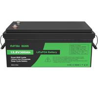 DATOUBOSS Batteria LiFePO4 da 12 V 300 Ah integrata da 200 A BMS, 15000+ cicli Deep Cycle, batteria al litio max 3840 W, supporto in serie/parallelo, perfetta per solare, camper, off-grid.