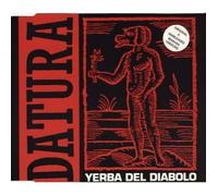 Datura - Yerba Del Diabolo