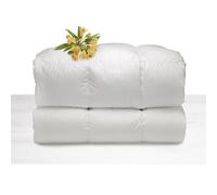 Daunenstep Piumino d'oca piazza e mezza maxi 200x220 cm D800 Classic winter