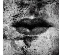 DAUNER, WOLFGANG -TRIO- - DREAM TALK