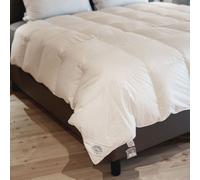 Daunex Adamello Medium in piumino argentato esterno cotone