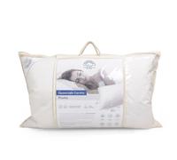 Daunex Guanciale Cermis 50% piumetta, 50% piumino (50x80cm)
