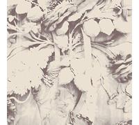 Sarah Davachi Figures In Open Air (CD)