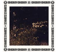 Davachi, Sarah - Pale Bloom