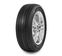 Davanti Wintoura 185/65R15 88T 3PMSF TL