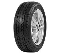 Davanti Wintoura 195/65R15 91H