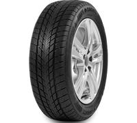 Davanti Wintoura 185/65R14 86T