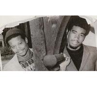 Dave & Ansel Collins - The Best of