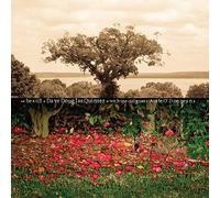 Dave Douglas Quintet - Be Still
