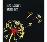 Dave Gleason Dave Gleason's Wasted Days (CD)