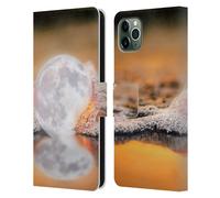 DAVE LOBLAW SCI-FI AND SURREAL CUSTODIA COVER A PORTAFOGLIO PER APPLE iPHONE