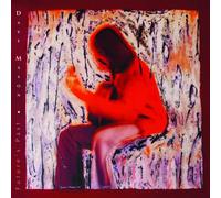 Dave Mason - Future's Past