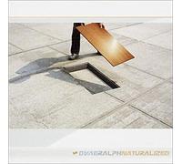 Dave Ralph - Naturalized