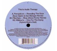 Dave Seaman Pres... - This Is Audiotherapy Smplr 2