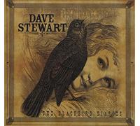 Dave Stewart - Blackbird Diaries