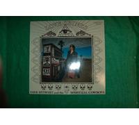 Dave Stewart & Spiritual Cowboys - Love shines [VINYL]