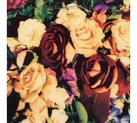 Dave Stewart & The Spiritual Cowboys Honest