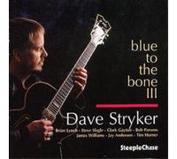 Dave Stryker Blue to the Bone Iii Album