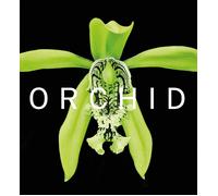 David A. Berry ORCHID (Copertina rigida)