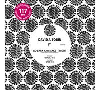 David A. Tobin Go Back And Make It Right (Vinyl LP)