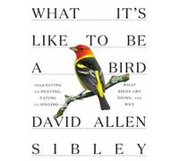 David Allen Sibley What It's Like to be a Bird (Copertina rigida)