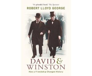 David and Winston: How a Friendship Changed History by Robert Lloyd George (2006-06-19)