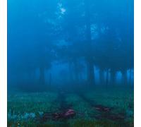 David Angele - Record Store Day 2018