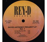 David Anthony Project LP Vol. 1
