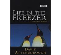 David Attenborough - Life in the Freezer [Edizione: Regno Unito]