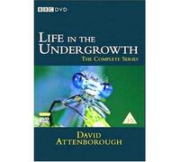 David Attenborough - Life in the Undergrowth [Edizione: Regno Unito]