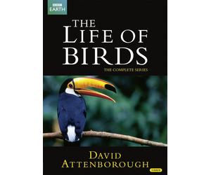 David Attenborough: The Life of Birds - The Complete Series (DVD)