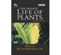 David Attenborough - The Private Life of Plants [Edizione: Regno Unito]