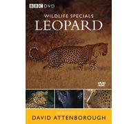 David Attenborough - Wildlife Special - Leopard [Edizione: Regno Unito] [Edizione: Regno Unito]