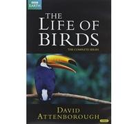 David Attenborough's Life Of Birds
