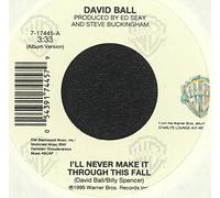 DAVID BALL - DAVID BALL - i'll never make it through this fall/what kind of hold WB 17445 (45 single vinyl record)